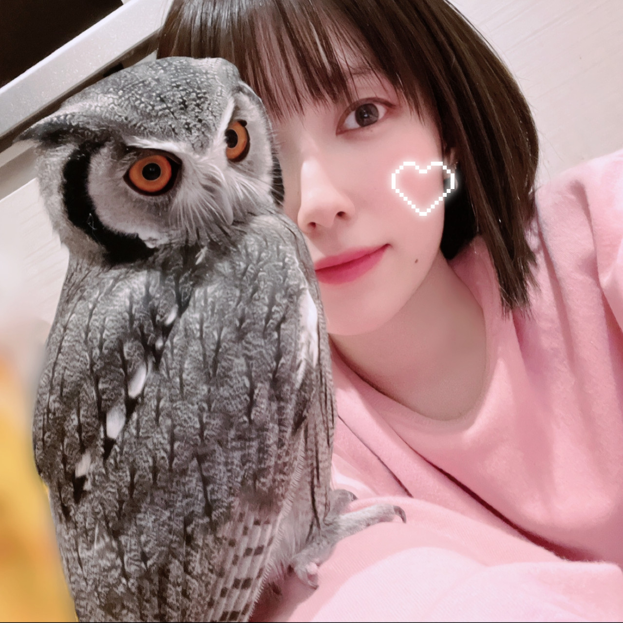 6680f4c355c9c53f995915dc777b3957